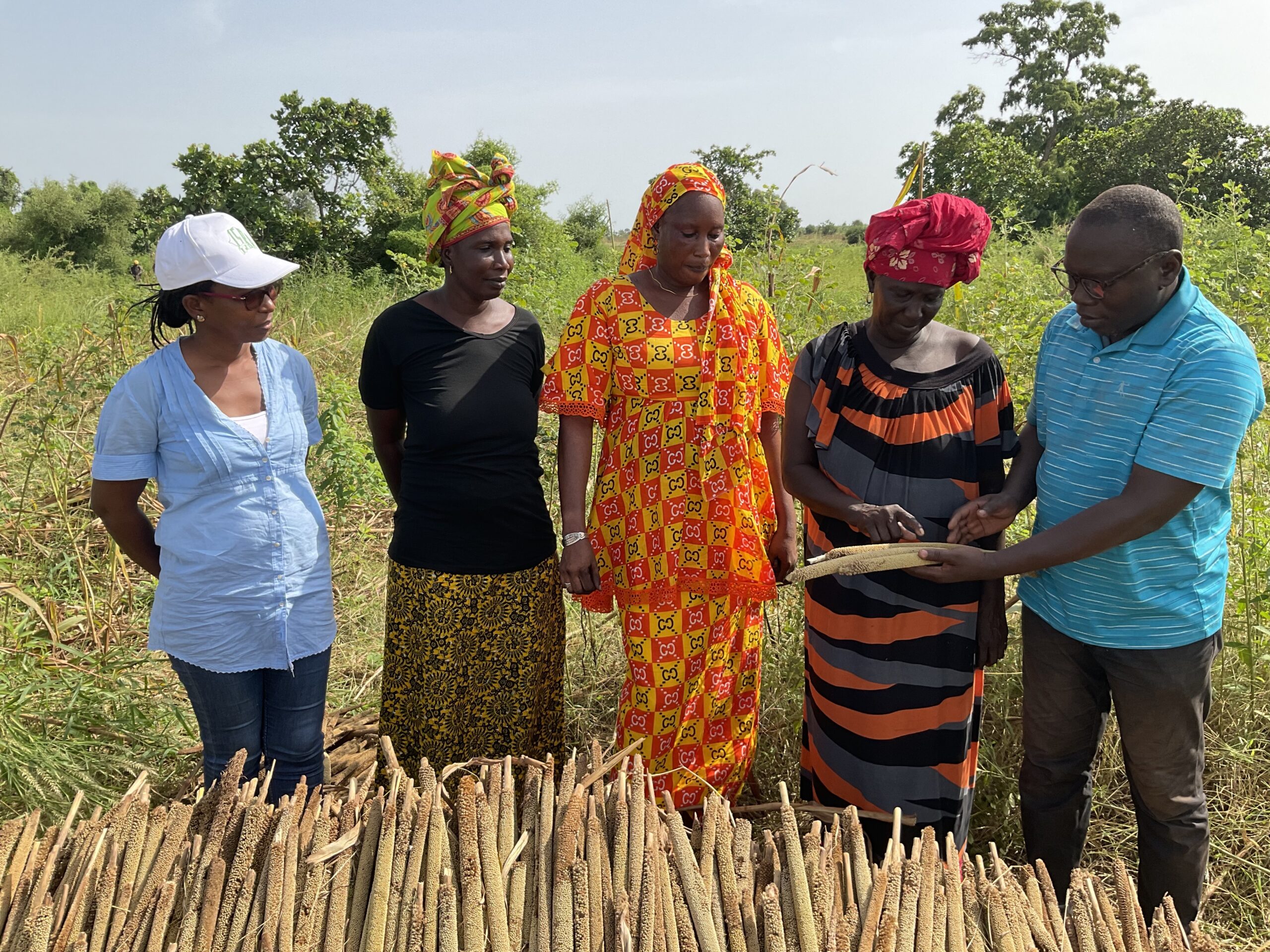 Sostenibilidad de los sistemas de semillas en África Occidental: Para los productores, por los productores