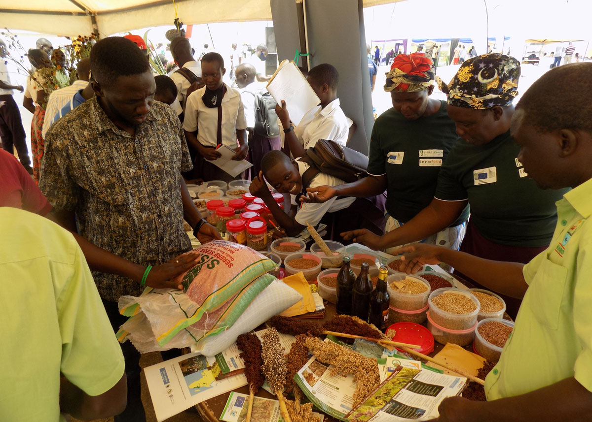 Inaugural Eastern Agriculture Show unites farmers, scientists in Uganda