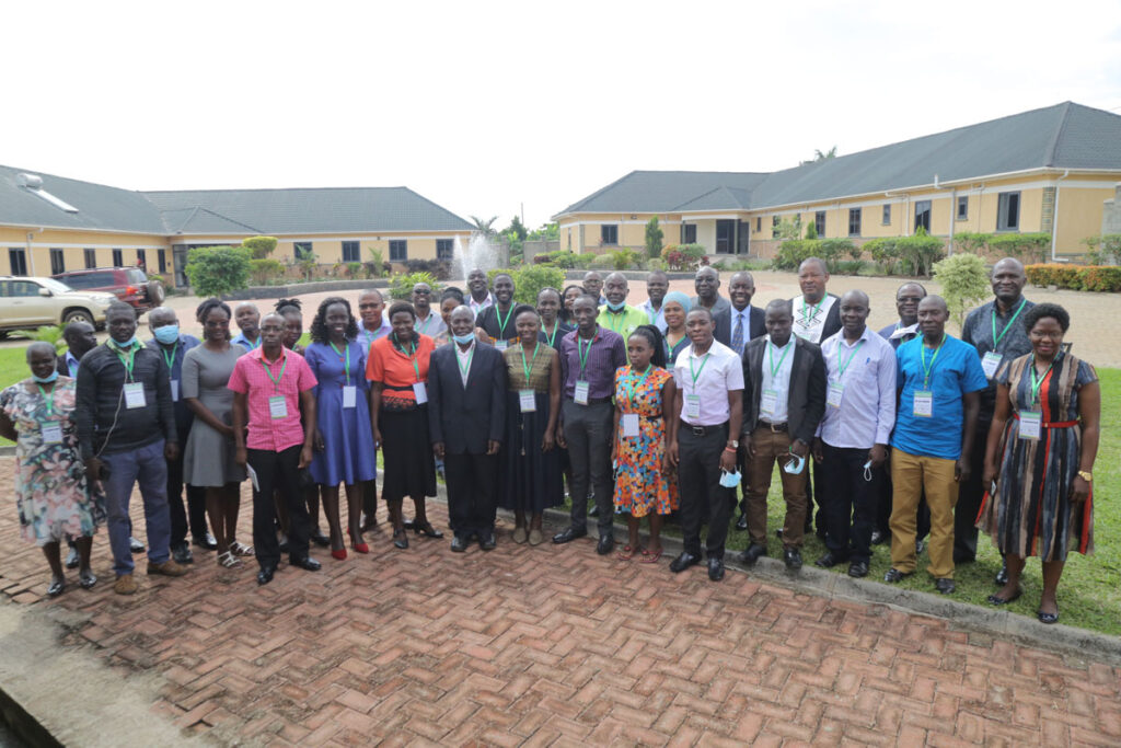 A year of progress: Breeding for resilient sorghum and finger millet in ...