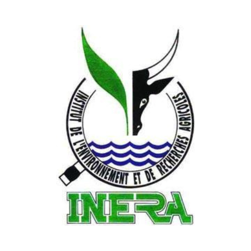 Logotipo de INERA