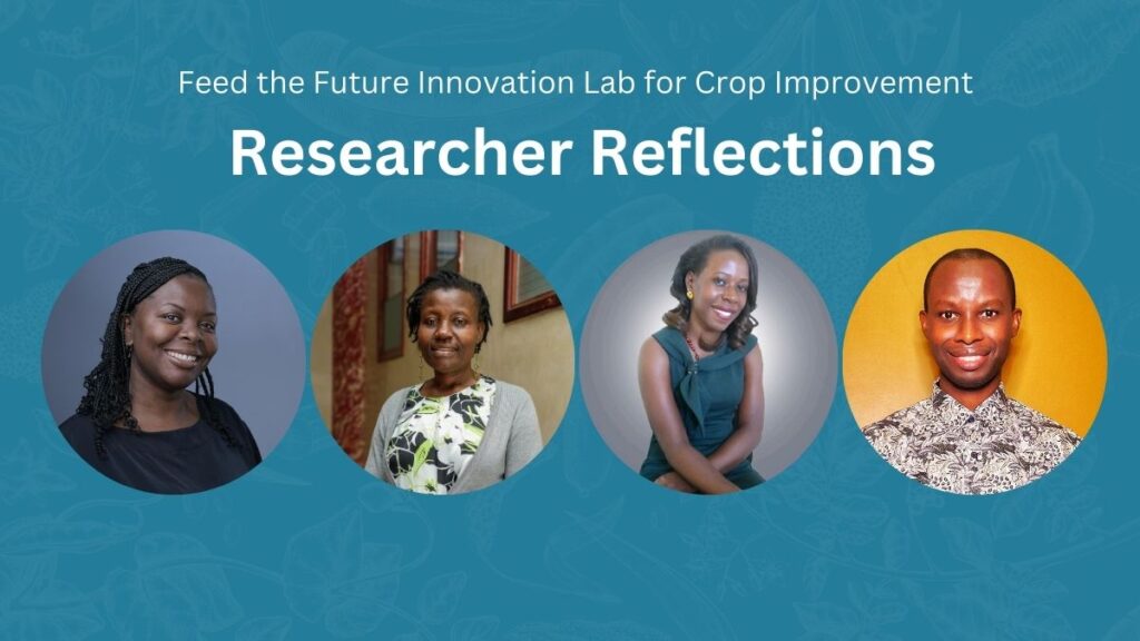 Feed the Future Innovation Lab for Crop Improvement Researcher Reflections