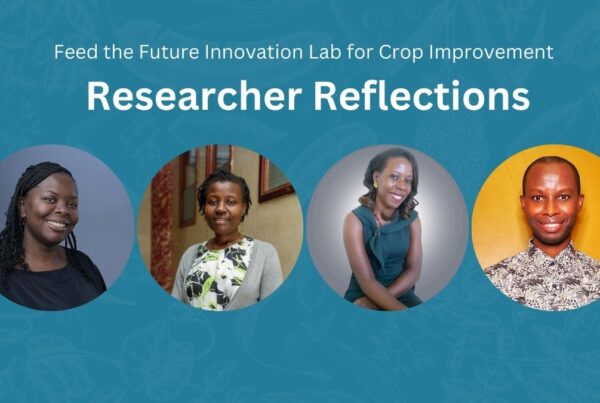 Feed the Future Innovation Lab for Crop Improvement Researcher Reflections