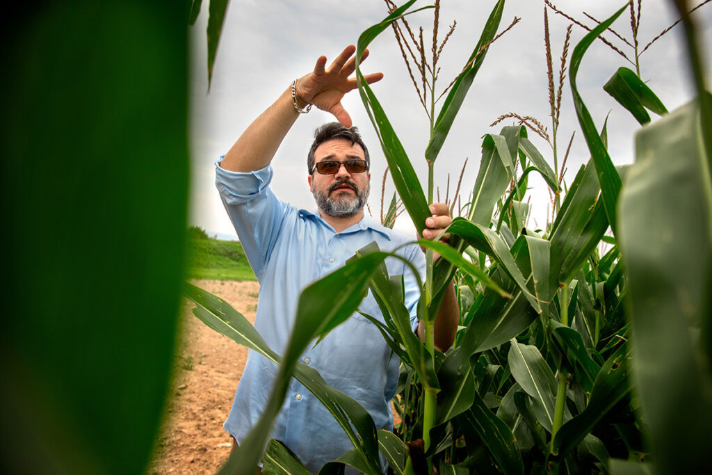 Man in field