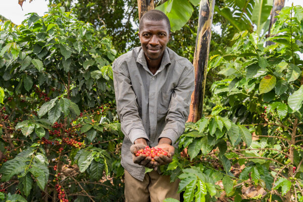 Coffee in Ssajja Emmanuel's hands at his farm in the Rubirizi district of the Rwenzori region in Uganda. 

Photo credit: World Coffee Research